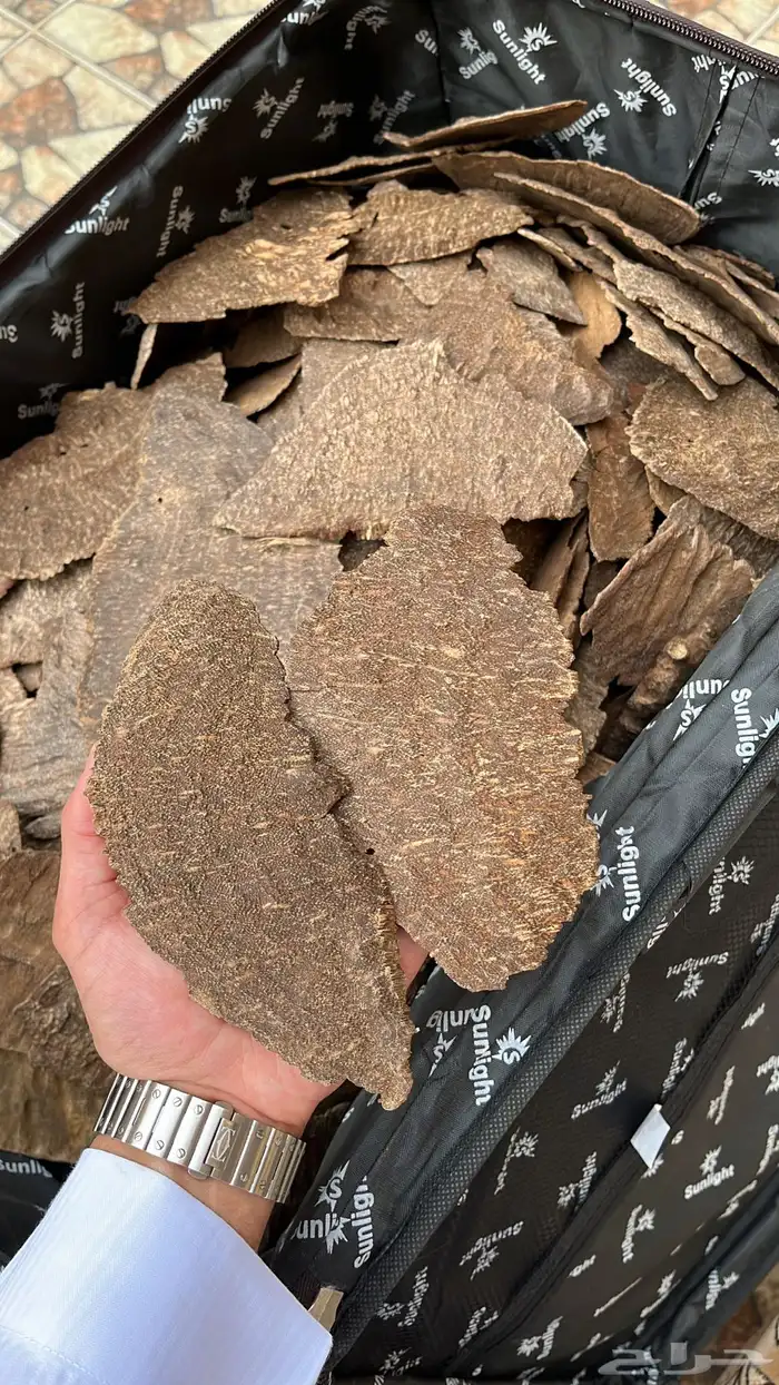 عود جار هندي فاخر 0