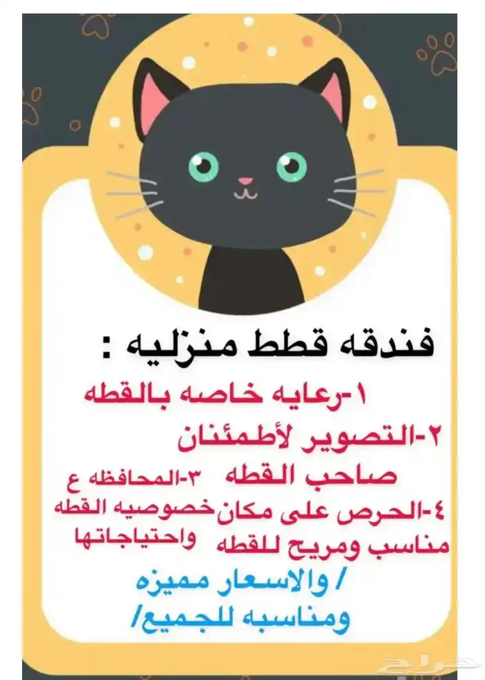 فندقه استقبال قطط 0