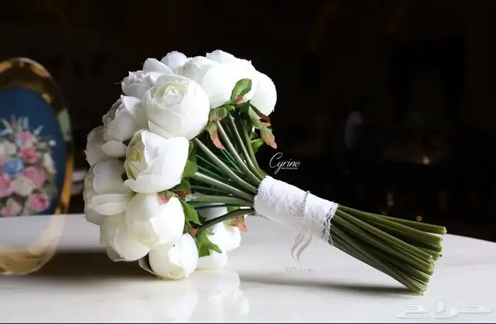 مصورة مناسبات وافتتاحات 2