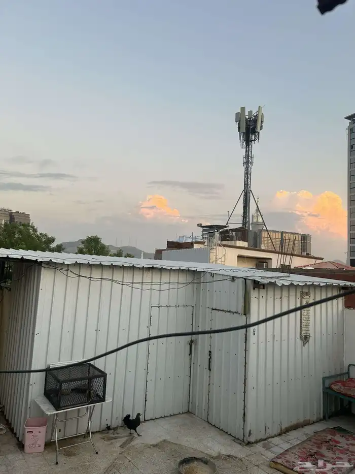 زنق و حديد للبيع 8