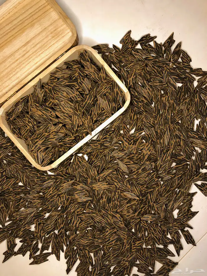 بخور كمبودي تايقر درجة أولى على الضمان 1