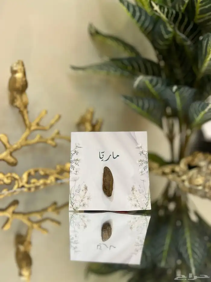 توزيعات مواليد زواجات بأفضل الاسعار 3
