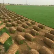 تيل طبيعى تنسيق حدائق ديكورات منازل 0