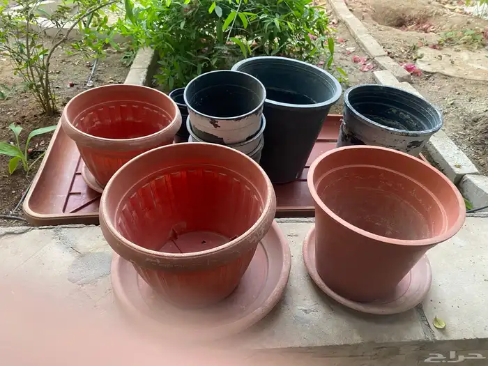 احواض 6