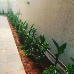 تنسيق حدائق بالرياض 8