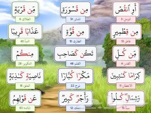 ع الزوم محفظة ومحفظ قرأن ولغتي 0
