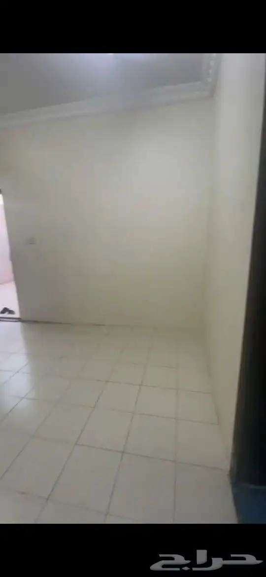 عزاب ثلاث غرف الذيبيه استراحه 2