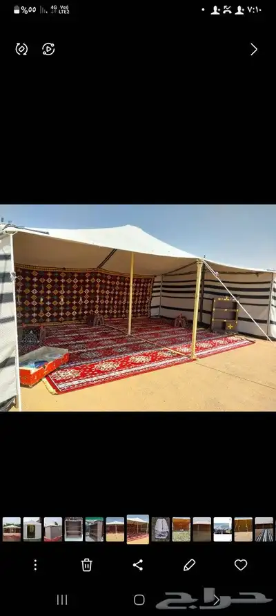 بيوت شعر جميع المقسات 5