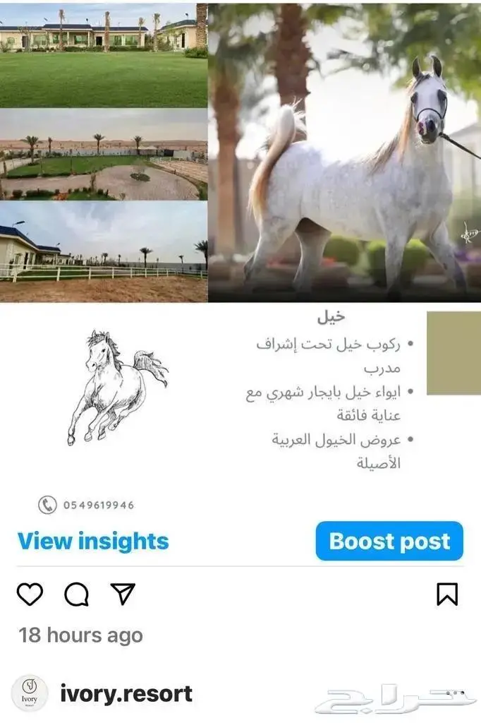 ايواء وربط خيل فرس حصان مهر للايجار الشهري واليومي 0