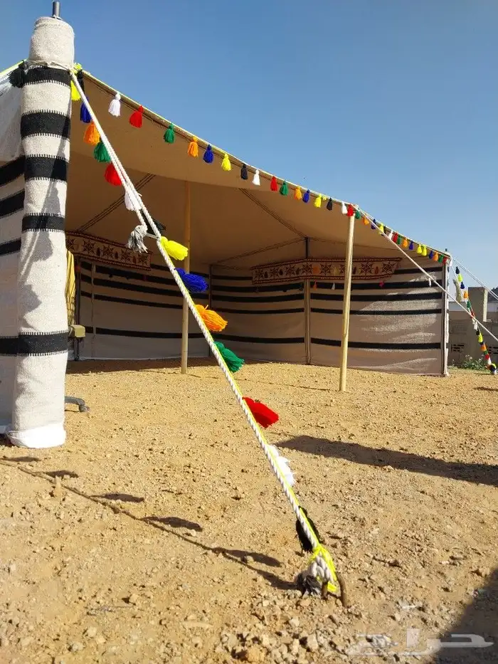 بيوت شعر جميع المقسات 8
