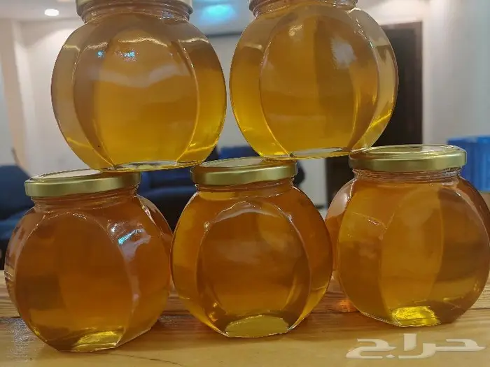 عسل سدر معشوقة قصة 1446 0