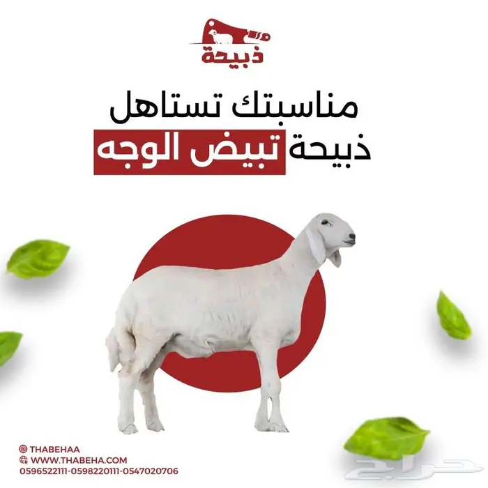 متجر ذبيحة 3