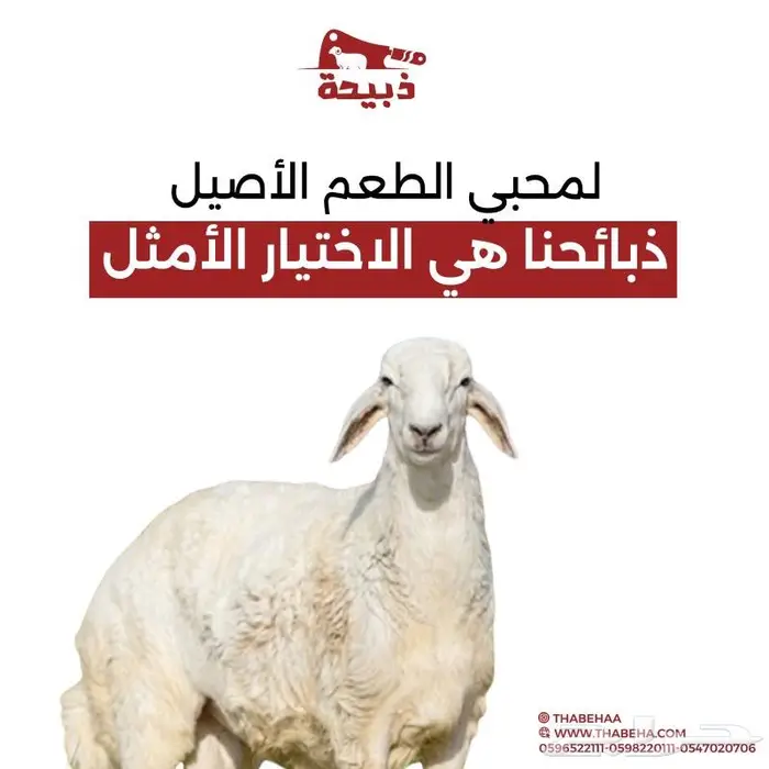 متجر ذبيحة 6