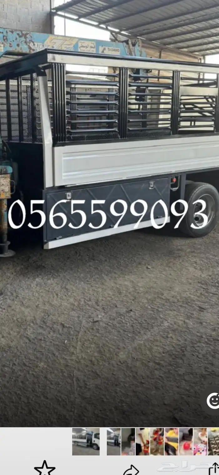 دينا ونش لنقل الحلال من الطائف إلى اي مدينه 1