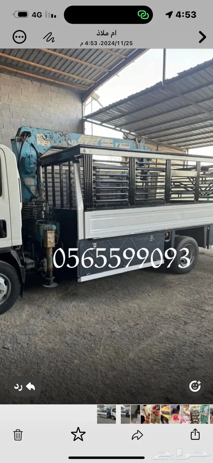 دينا ونش لنقل الحلال من الطائف إلى اي مدينه 0