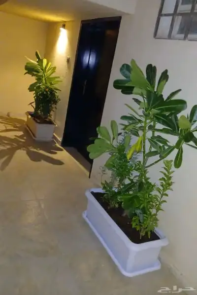 مشتل زراعي بالرياض بسعر الجملة 4