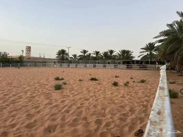مربط ميلا للخيل العربيه الاصيله 1