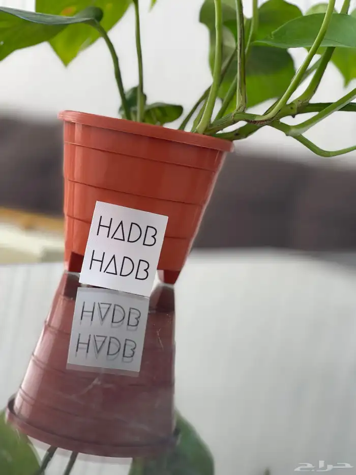 مطبعة كروت فواتير استيكرات استيكر اكياس بوكسات مطابع اختام 8