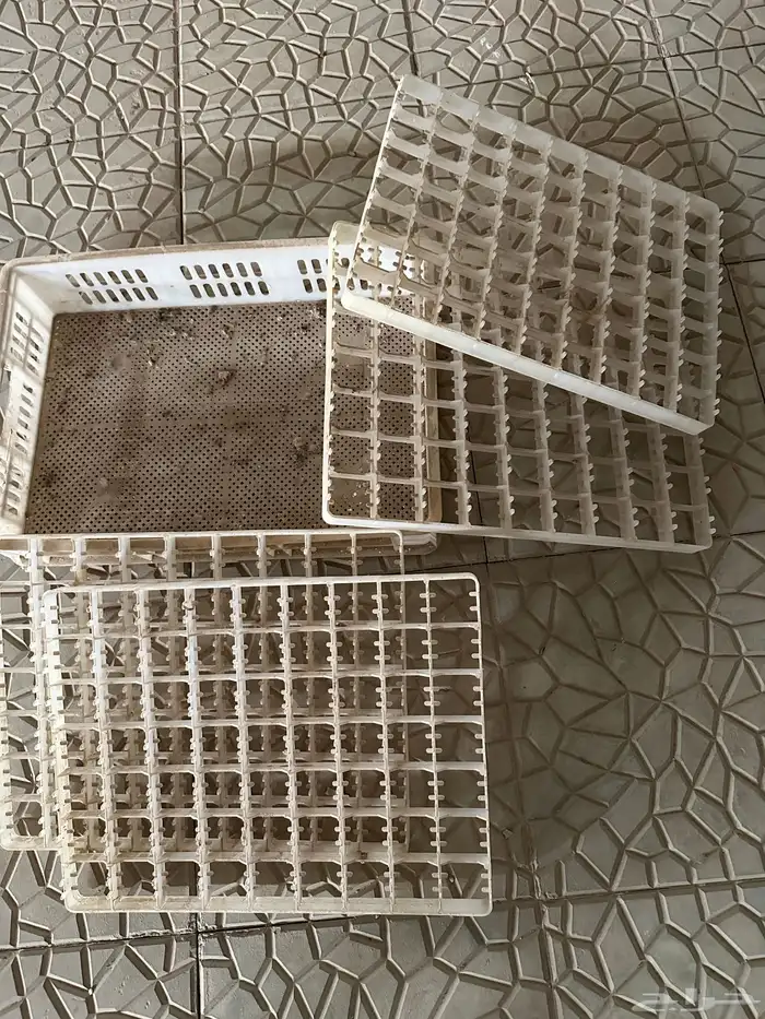 فقاسه اتوماتيك 580 بيضه 2