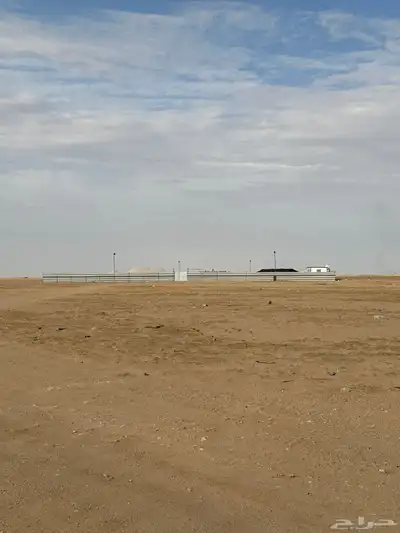 مخيم عسيب للايجار 11