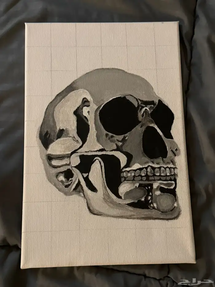لوحة جمجمه لم يتم اكمالها 2