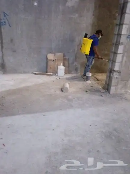 أبوإسلام لمكافحة الحشرات والنمل والناموس وغسيل البيوت 2