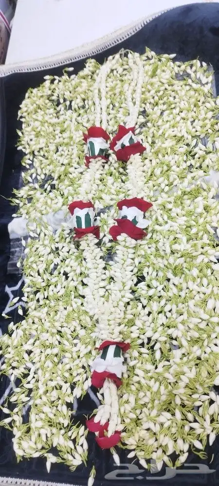 فل عريشي ورد طبيعي 2
