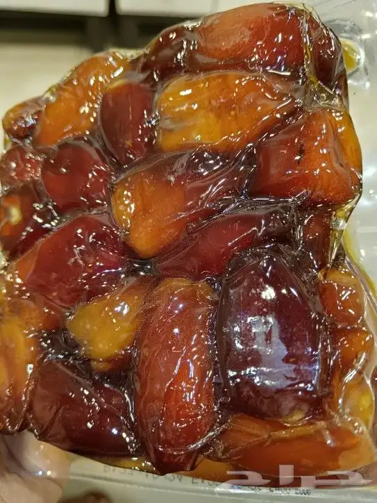 صقعي مكنوز فاخر 6 كيلو 5