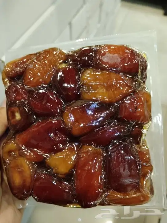 صقعي مكنوز فاخر 6 كيلو 4