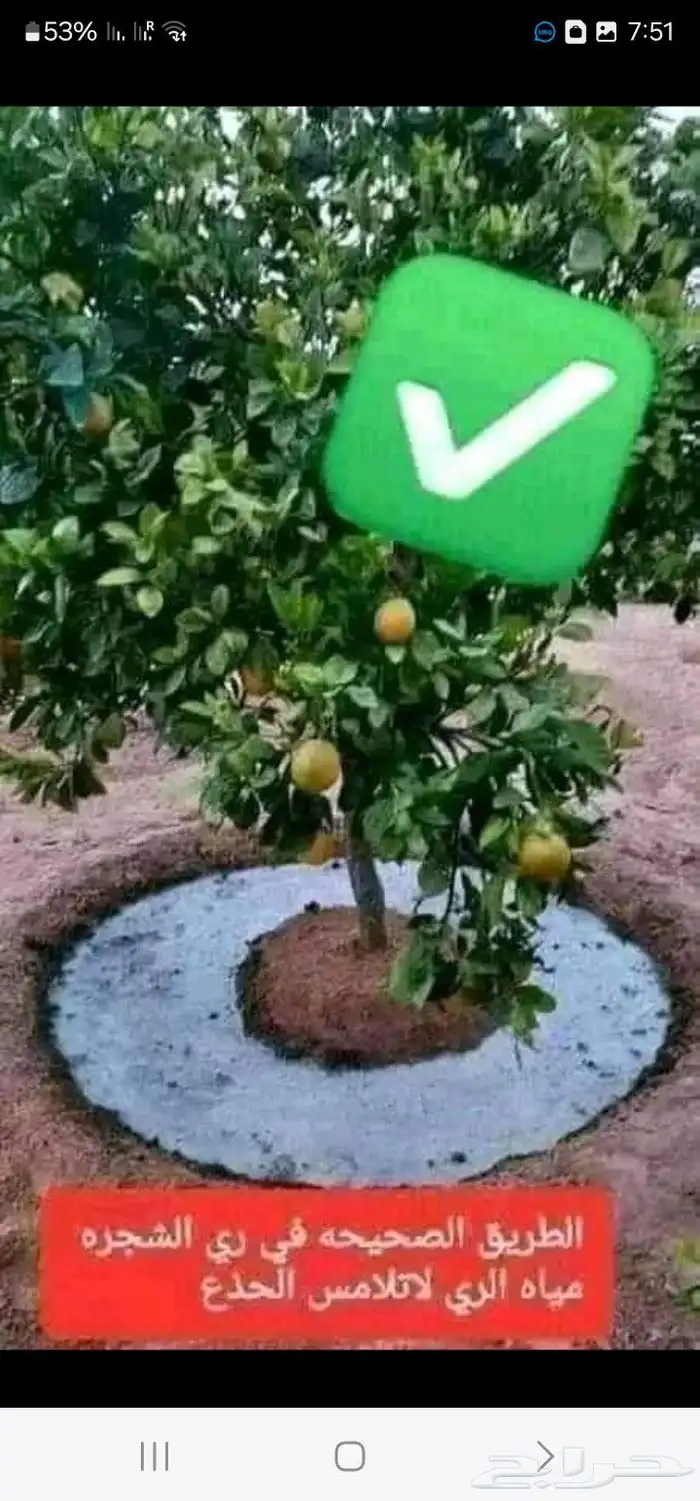 تنسيق حدائق حديثه 4