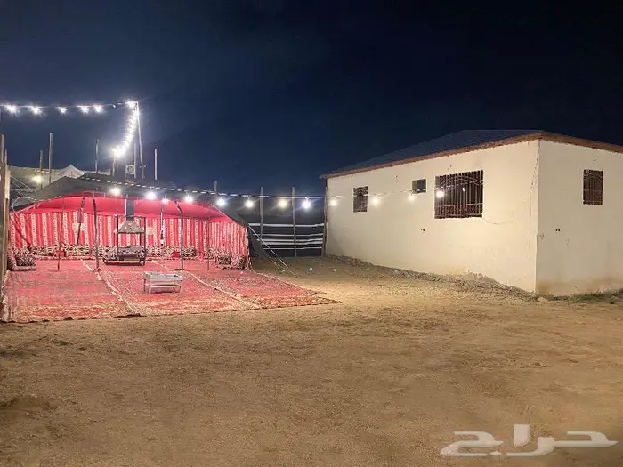 خيمه ب 100 وخيمه ب 200 مع المشب ومع الحمام 4