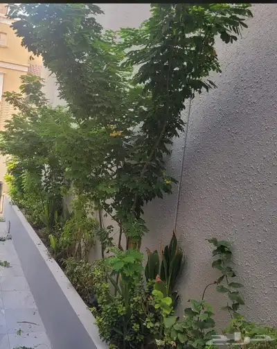 مشتل زراعي بالرياض بسعر الجملة 2