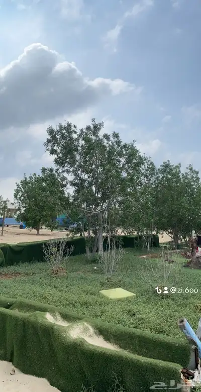 قارب طيف الخير للرحلات السياحية 6