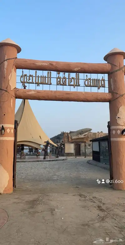 قارب طيف الخير للرحلات السياحية 11