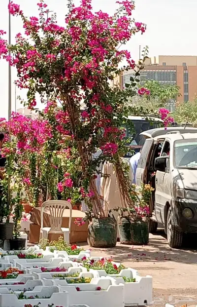 مشتل زراعي بالرياض بسعر الجملة 5