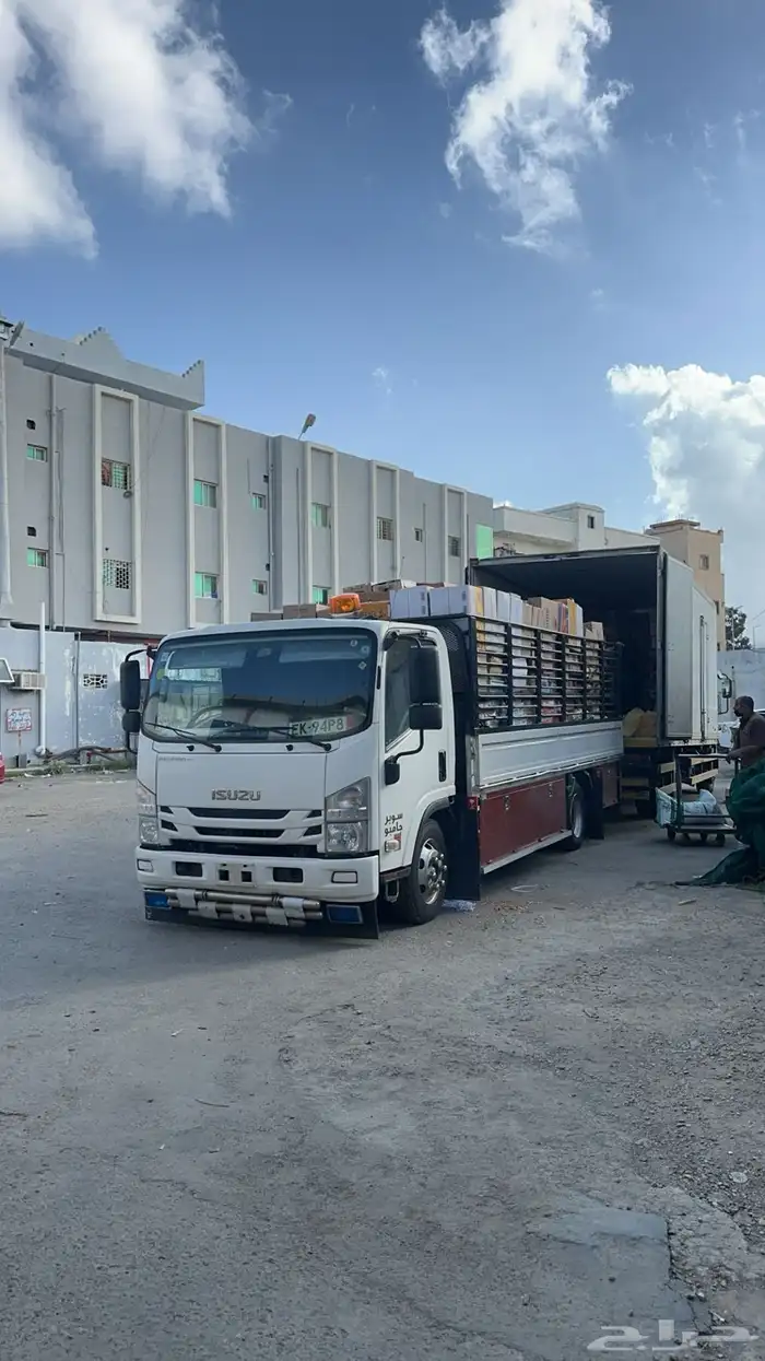 دينا مشاوير داخل وخارج الباحة 0