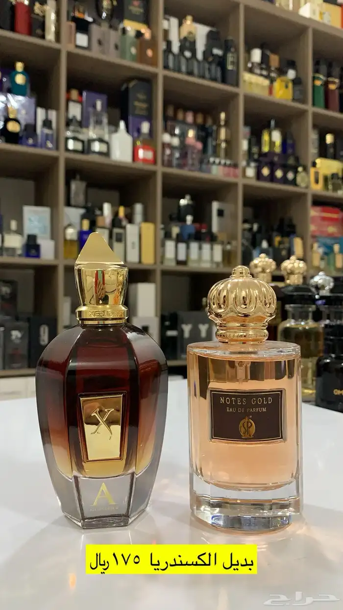عطور المكافح السعودي 58
