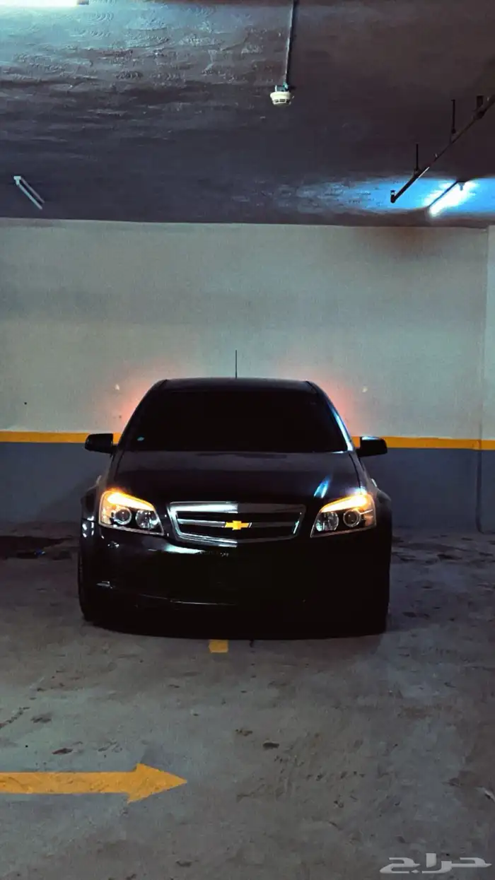 كابرس 2010 LS 10