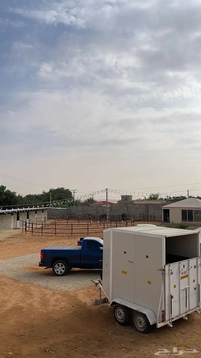 يوجد ايجار اسطبل يومي وإيواء خيل غرف وبواديك 1
