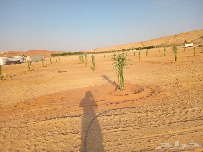 السلام عليكم نقوم بتركيب شبوك المزارع بجميع انواعها ايضن نق 3