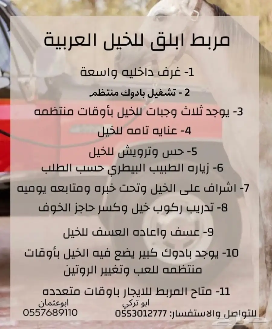مربط ابلق 7
