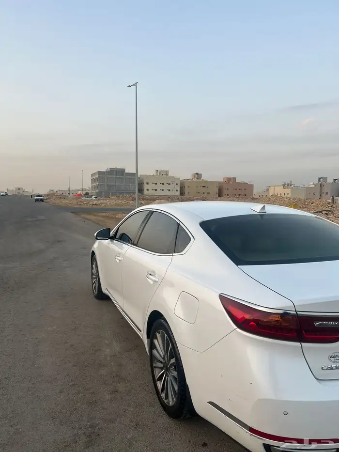 كياء كادينزا 2020 3