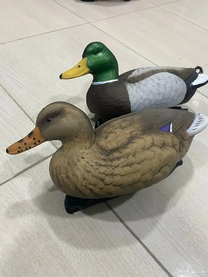 بط خيالات 0