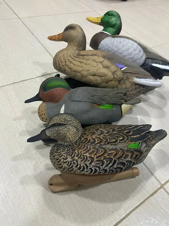 بط خيالات 1