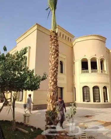 توريد وتوركيب شبوك   شبوك سياج   شبوك طرق   شبوك مزارع 7