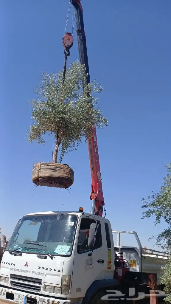 كرين ونش للاجار اليومي ولمشاوير 4