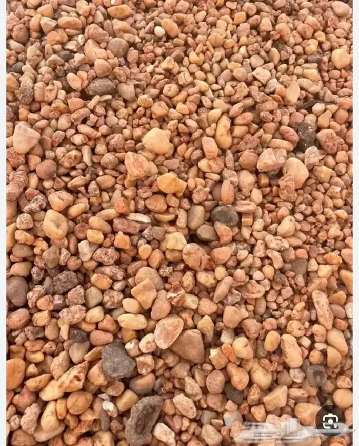 بطحاء الرياض دفان سافي جميع أنواع الخرصان 3