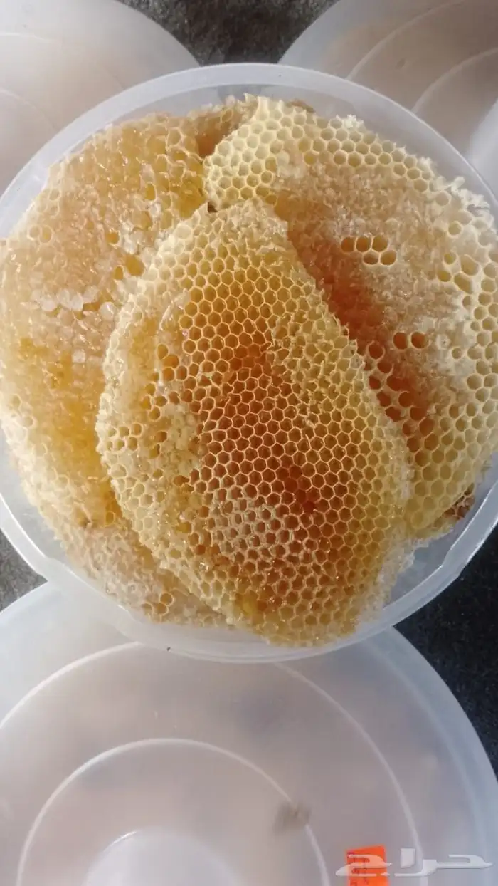 عسل جنوبي سدر وسمره 0