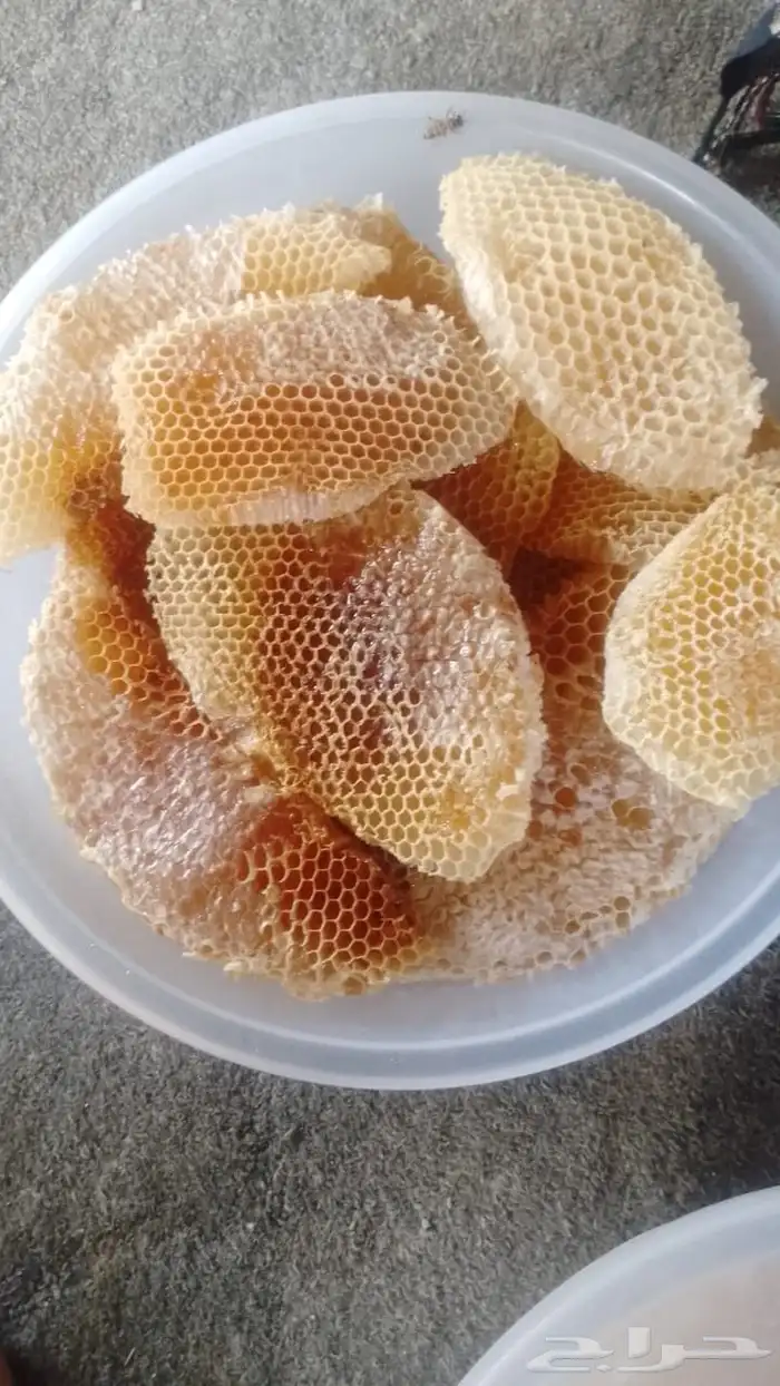 عسل جنوبي سدر وسمره 4