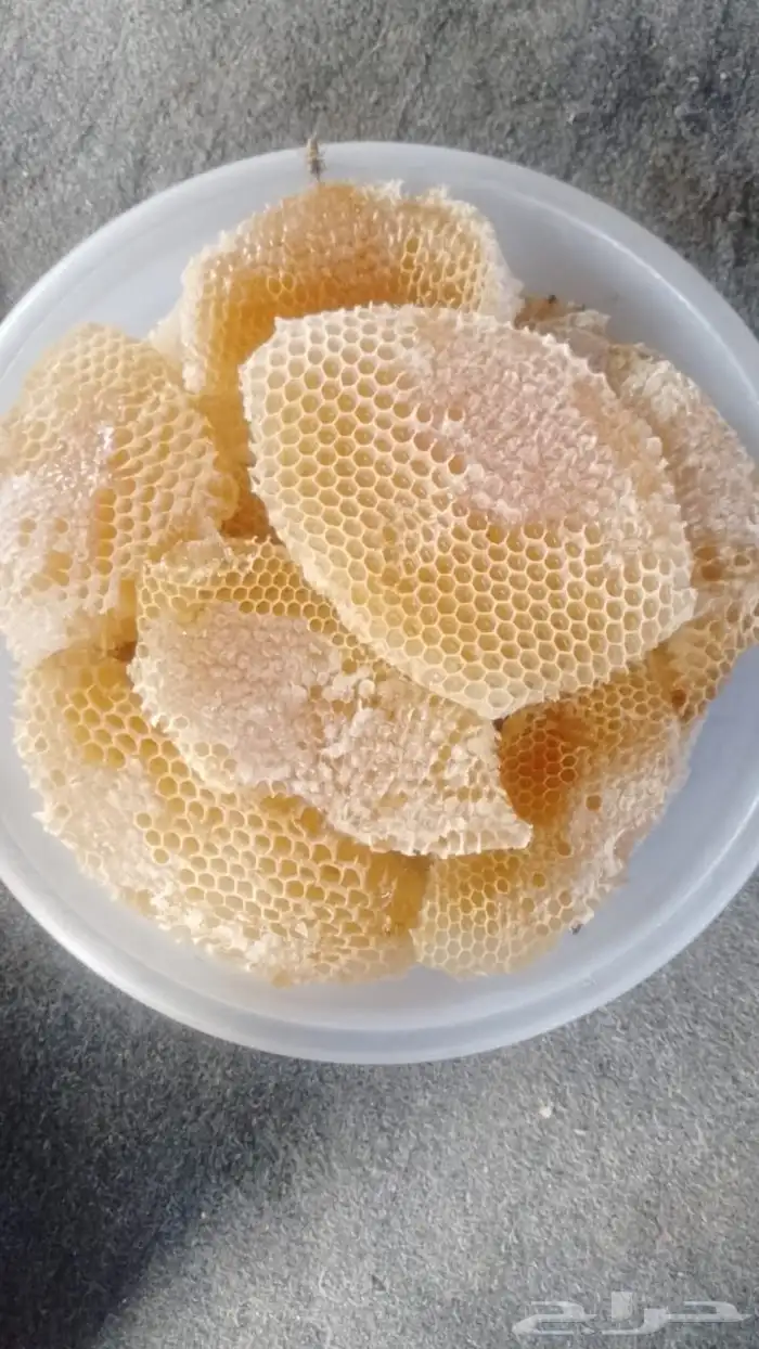 عسل جنوبي سدر وسمره 5